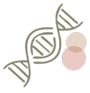 יום בדיקות לנשאיות BRCA ומוטציות אחרות